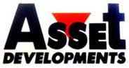 Asset